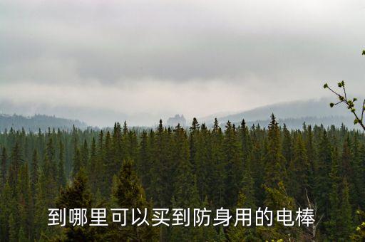 到哪里可以买到防身用的电棒