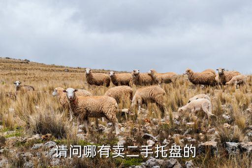 6元二手木托盘出售，请问哪有卖二手托盘的