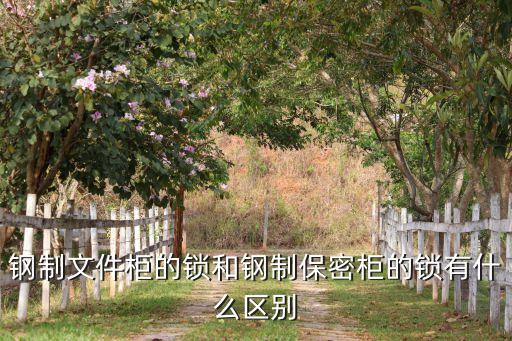 钢制文件柜的锁和钢制保密柜的锁有什么区别