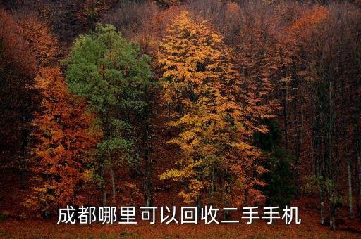成都哪里可以回收二手手机