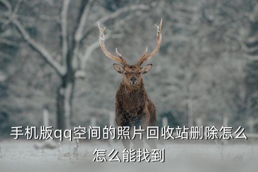 手机版qq空间的照片回收站删除怎么怎么能找到