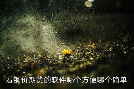 看铜价期货的软件哪个方便哪个简单