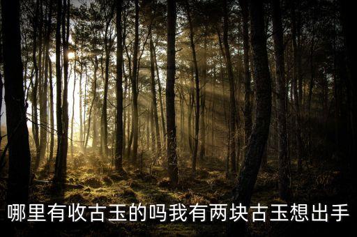 古玉回收，哪里有收古玉的吗我有两块古玉想出手