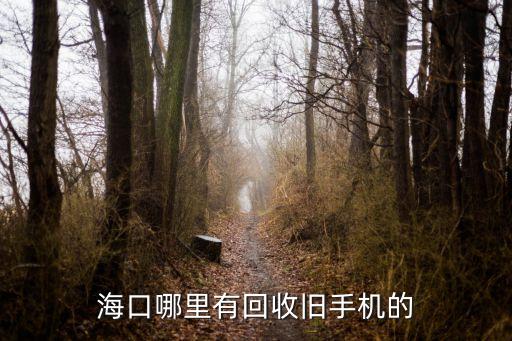海口哪里有回收旧手机的