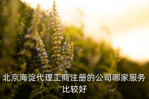 北京海淀代理工商注册的公司哪家服务比较好