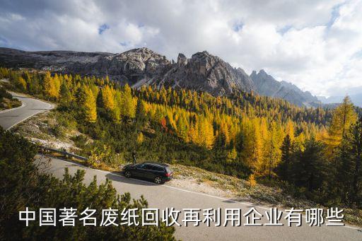 中国著名废纸回收再利用企业有哪些