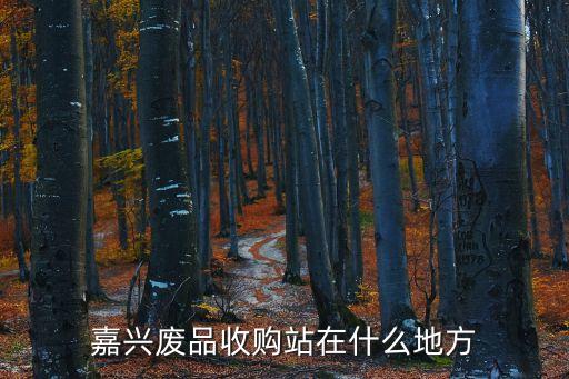 嘉兴废品收购站在什么地方