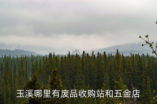 玉溪哪里有废品收购站和五金店