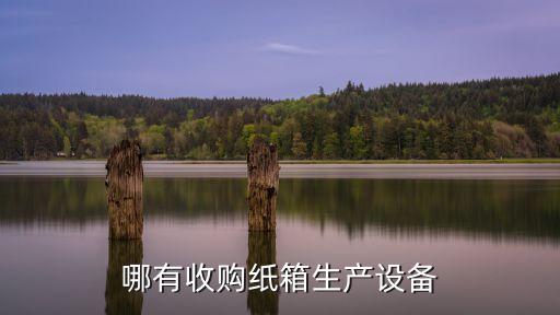 哪有收购纸箱生产设备