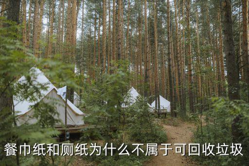 餐巾纸是可回收垃圾吗，餐巾纸和厕纸为什么不属于可回收垃圾