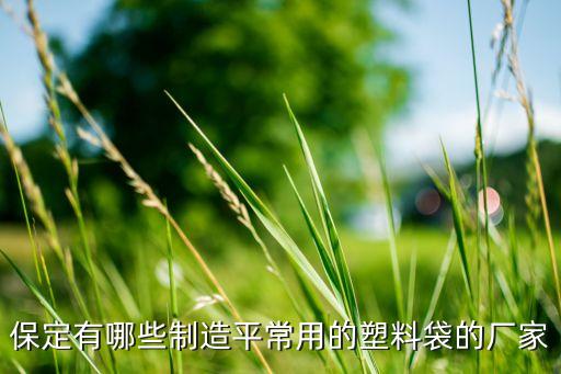 保定有哪些制造平常用的塑料袋的厂家