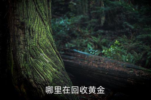 哪里在回收黄金