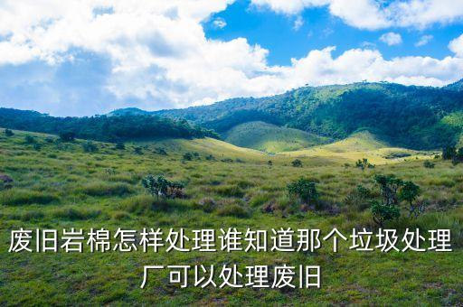 废旧岩棉怎样处理谁知道那个垃圾处理厂可以处理废旧