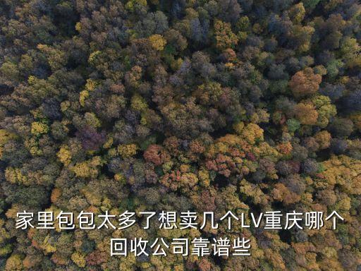 家里包包太多了想卖几个LV重庆哪个回收公司靠谱些