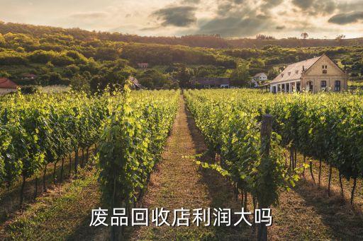 废品回收店利润大吗