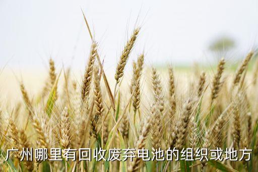 广州电池回收，广州哪里有回收废弃电池的组织或地方