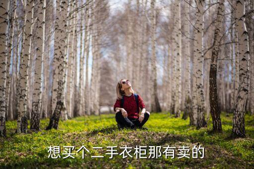 二手铁皮柜子哪里有卖的，郑州卖铁皮柜二手交易市场在什么地方