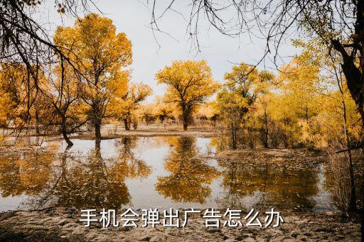 手机会弹出广告怎么办