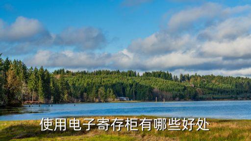 使用电子寄存柜有哪些好处