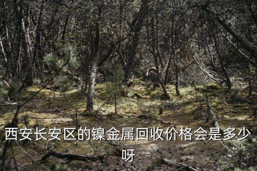 西安长安区的镍金属回收价格会是多少呀
