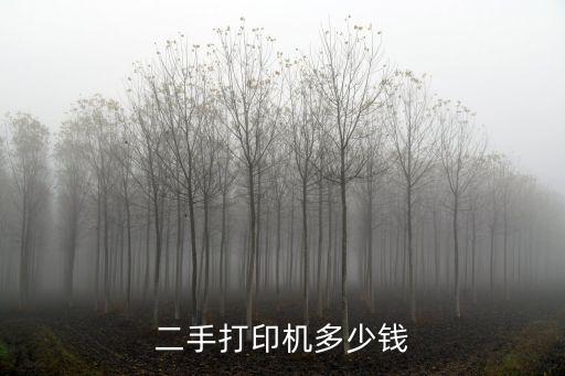 二手打印机多少钱