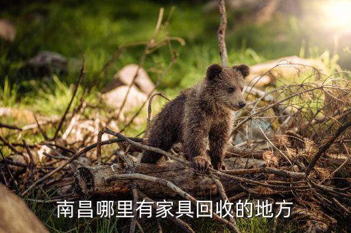 南昌哪里有家具回收的地方