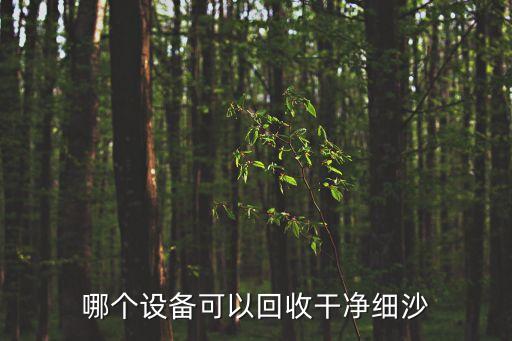 哪个设备可以回收干净细沙