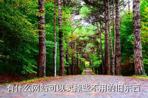 有什么网站可以卖掉些不用的旧东西