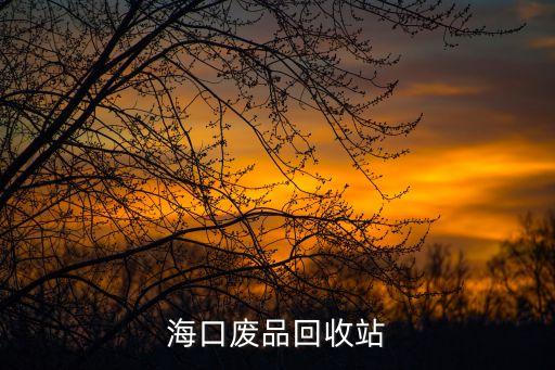 海口废品回收公司，海口最大的废品回收公司在哪