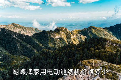 蝴蝶牌家用电动缝纫机价格多少