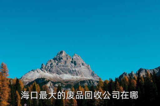 海口最大的废品回收公司在哪