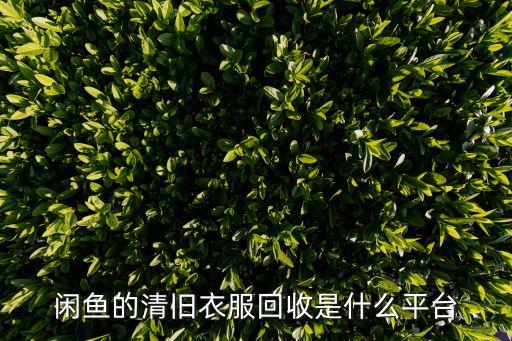 咸鱼旧衣回收，闲鱼里信用速卖收旧衣是卖呢还是免费送