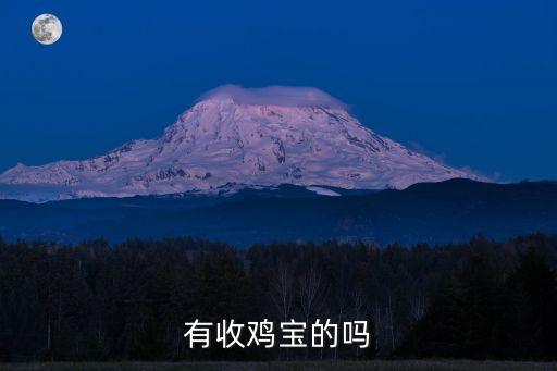 有收鸡宝的吗