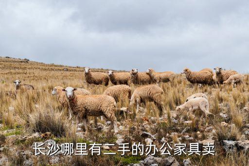 长沙哪里有二手的办公家具卖