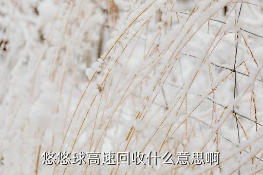 悠悠球高速回收什么意思啊