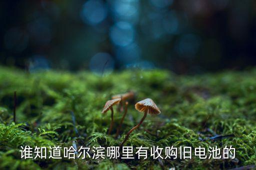 谁知道哈尔滨哪里有收购旧电池的