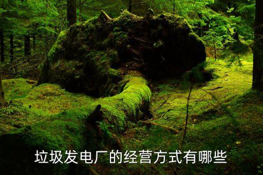 垃圾发电厂的经营方式有哪些