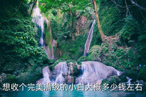 想收个完美满级的小白大概多少钱左右