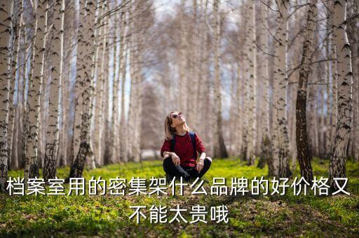 档案室用的密集架什么品牌的好价格又不能太贵哦