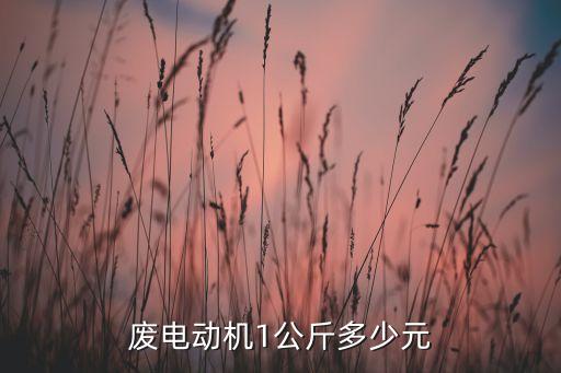 废电动机1公斤多少元