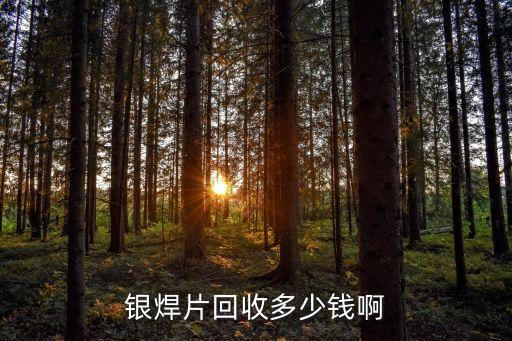 银焊片回收多少钱啊