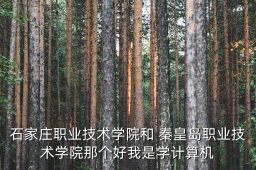石家庄职业技术学院和 秦皇岛职业技术学院那个好我是学计算机
