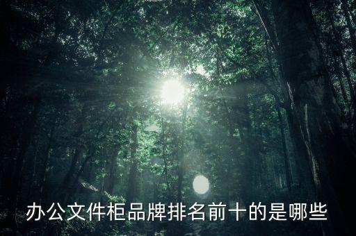 办公文件柜品牌排名前十的是哪些