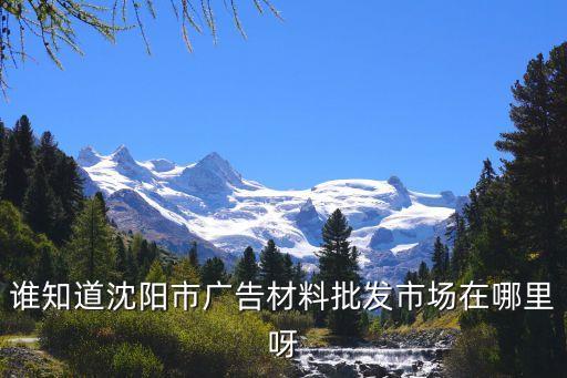 谁知道沈阳市广告材料批发市场在哪里呀
