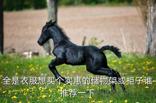 家庭杂物架储物架，室内用木质储物架隔开一面墙一平方多少代价