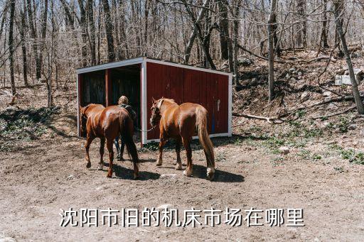 沈阳二手设备市场在哪里进货，沈阳哪里买旧机床
