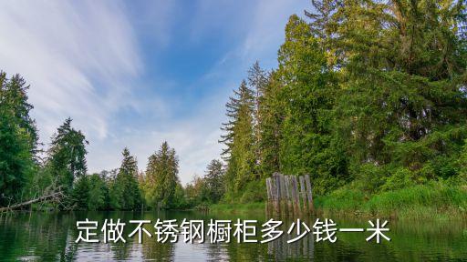 定做不锈钢橱柜多少钱一米