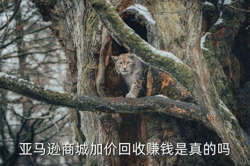 亚马逊商城加价回收赚钱是真的吗