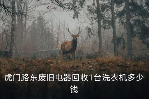 虎门废品回收，虎门路东废旧电器回收1台洗衣机多少钱