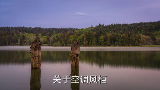 关于空调风柜